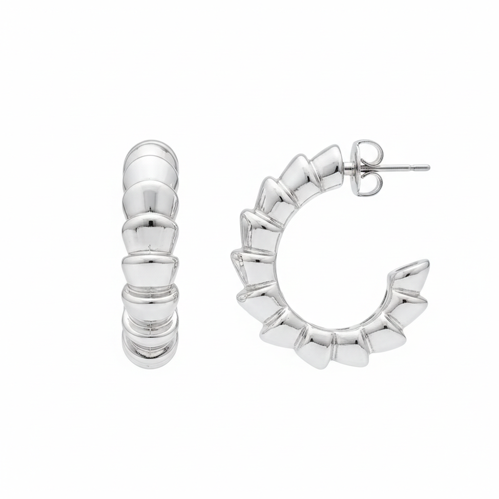 The99Jewel Stylish Silver Plated Earrings