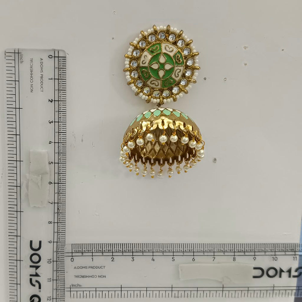 The99Jewel Designer Festive Meenakari Jhumka Earrings