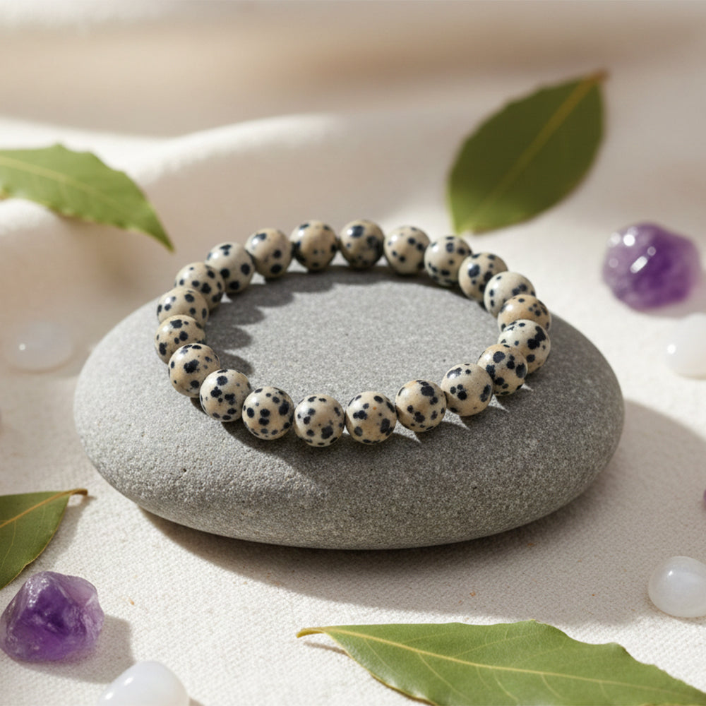 The99Jewel Dalmatian Jasper Natural Stone Bracelet With Box